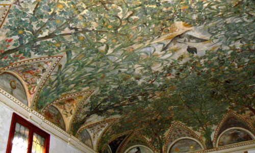 palazzo grimani erbario