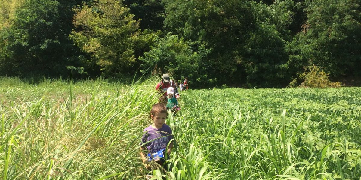 Centro estivo nella natura del Parco Agricolo Sud Milano